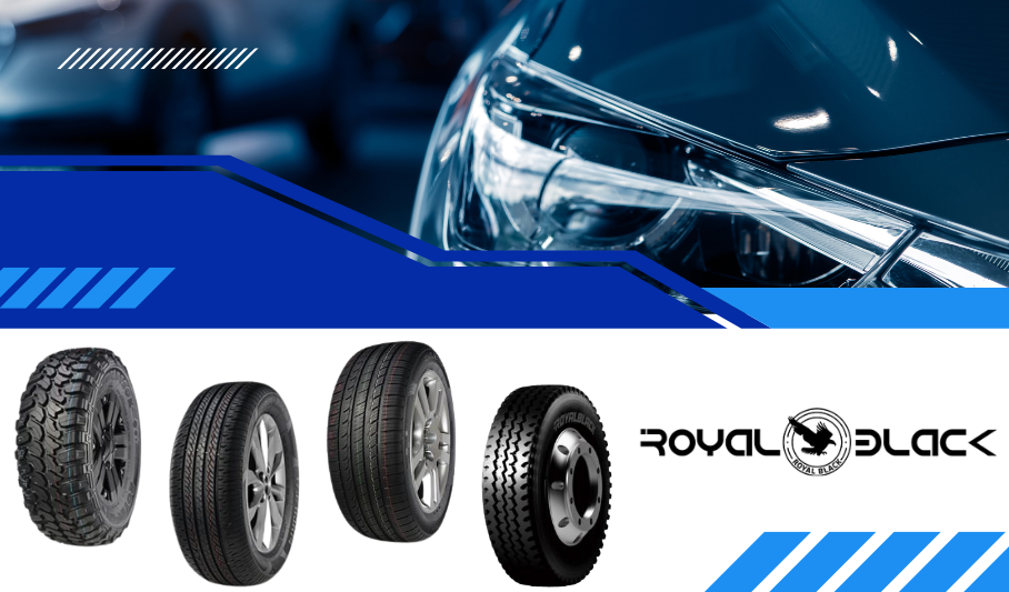 Porfolio Royal blackBig Picture Porfolio Royal blackBig Picture